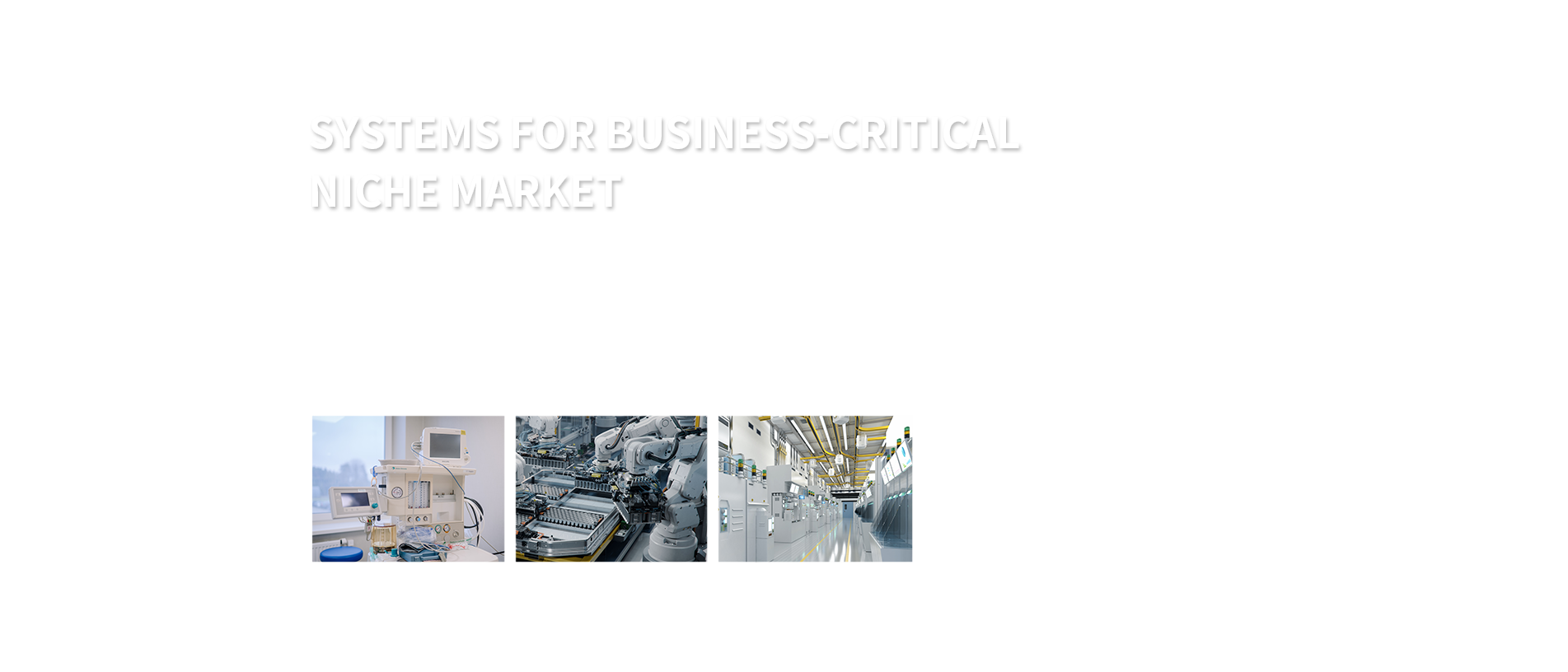 SYSTEMS FOR BUSINESS-CRITICALNICHE MARKET
